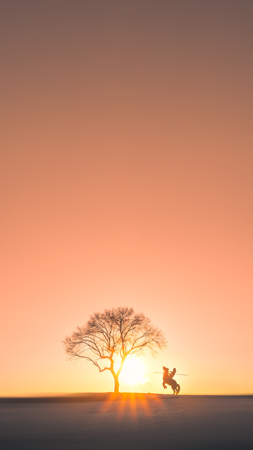 爱游戏app下载-独行侠老板对于未来的转会策略充满信心，独行侠新主场