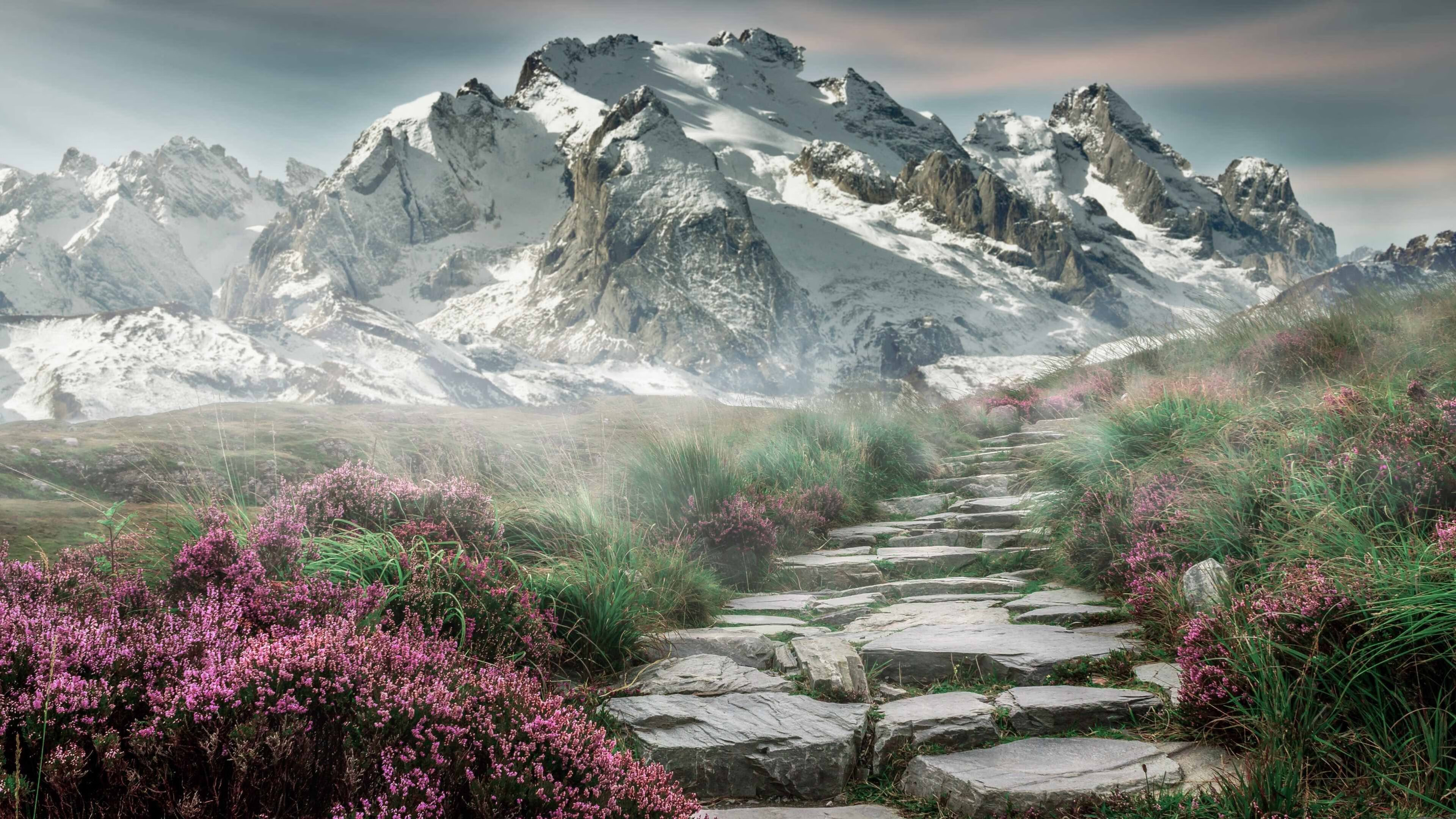 -Astralis 在 CCT 赛事中取得佳绩，ccat比赛