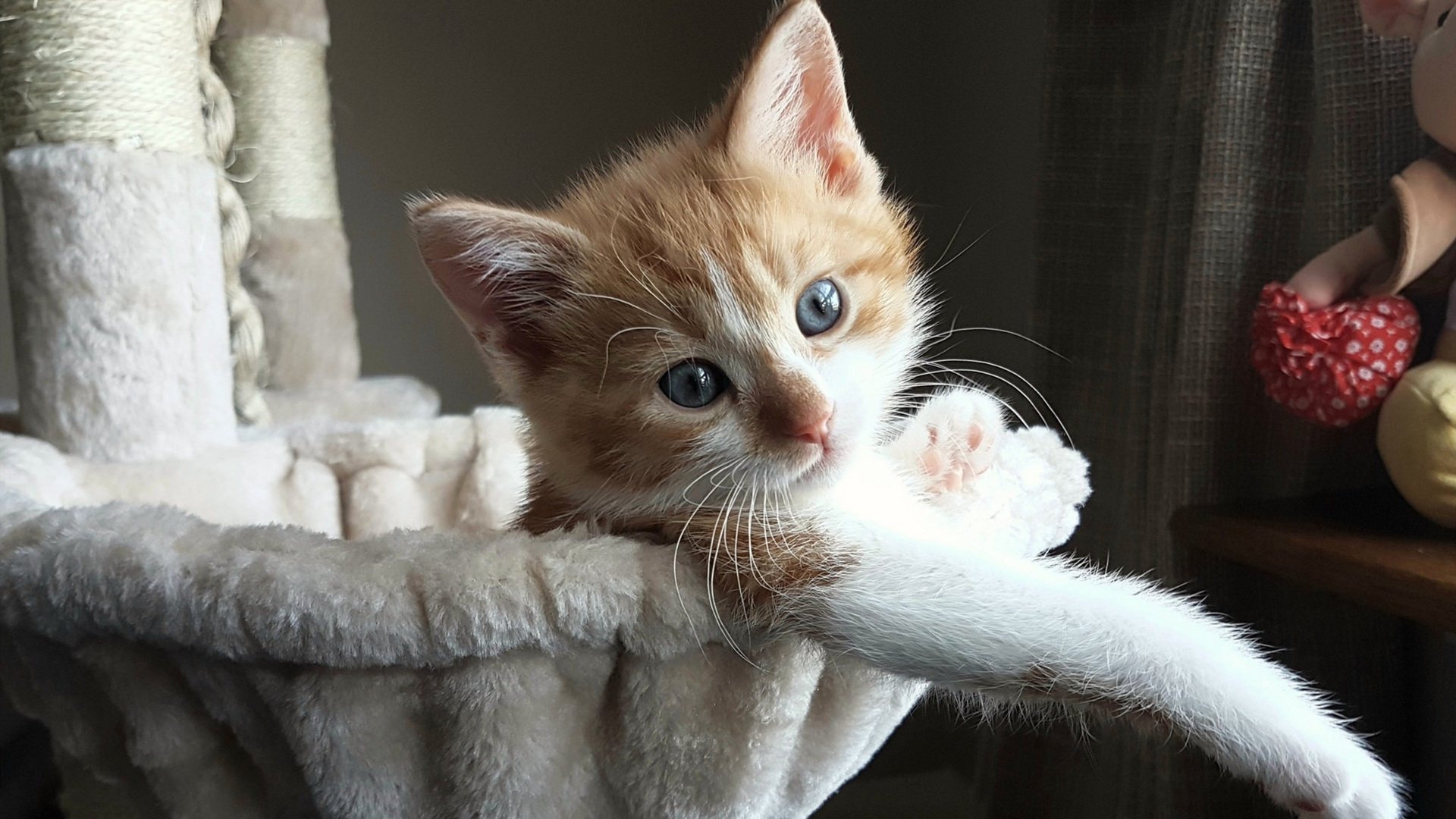 爱游戏体育（AYX）官方APP下载-青少年篮球节系列赛事覆盖多个年龄段推动多级联赛发展，青少年篮球联赛有哪些